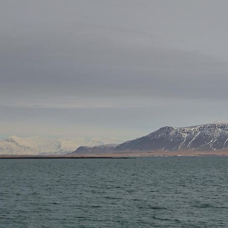 Floki'S Apartment Downtown. Reykjavík Exteriör bild